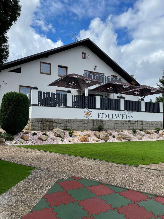 Wellness Hotel Edelweiss 利贝雷茨 外观 照片