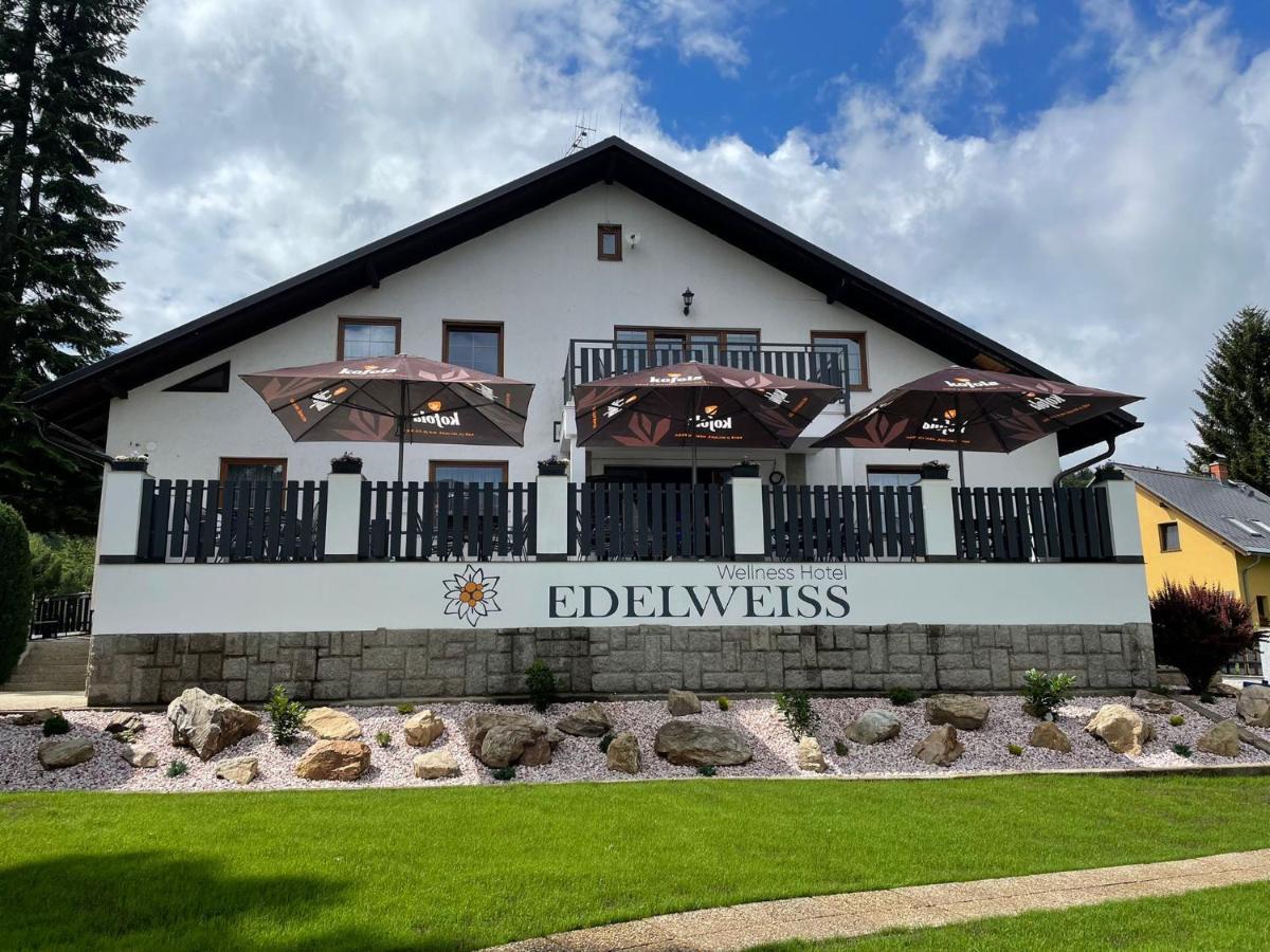 Wellness Hotel Edelweiss 利贝雷茨 外观 照片